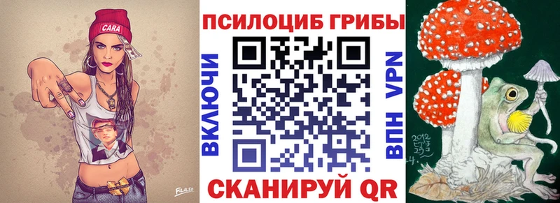 Купить  Алушта  Псилоцибиновые грибы Cubensis 